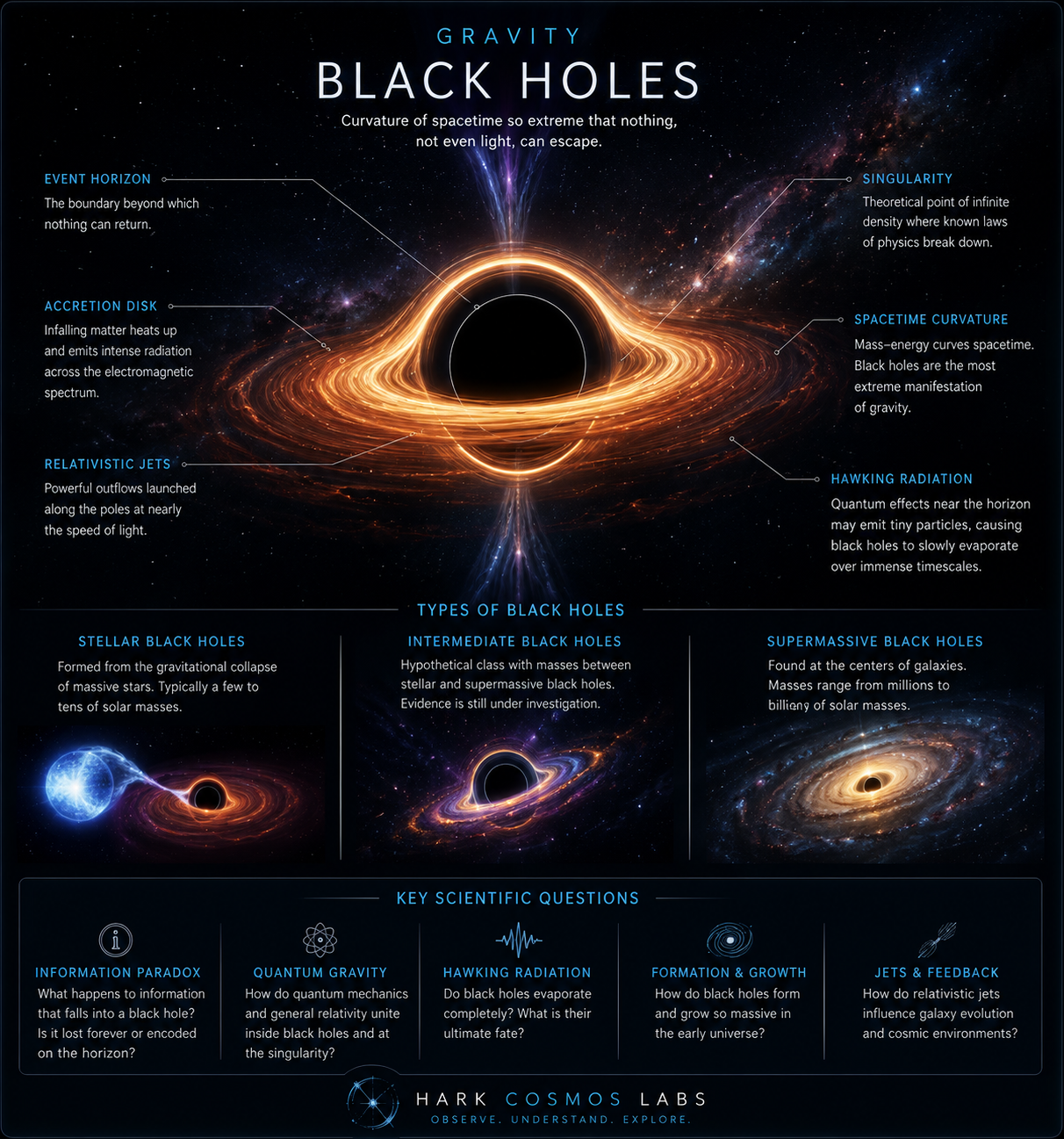 Black holes visualization