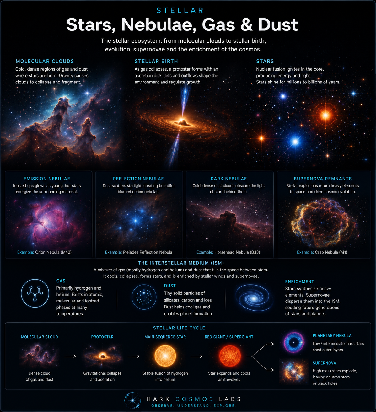 Stars, nebulae, gas and dust visualization